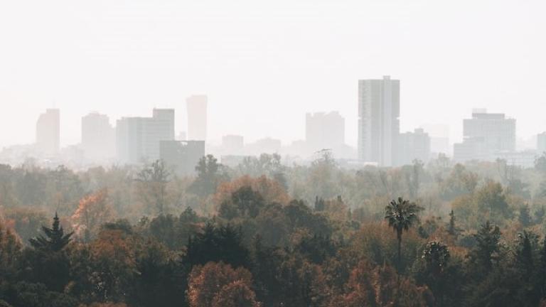 una vista de la ciudad de méxico llena de niebla tóxica
