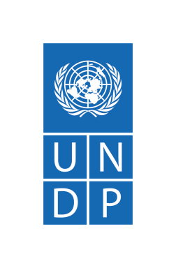 Logotipo del PNUD