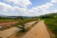 camino a través del humedal
