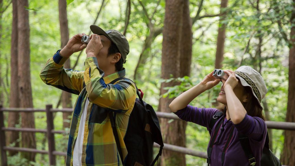 Observadores de aves en una pista forestal de China.