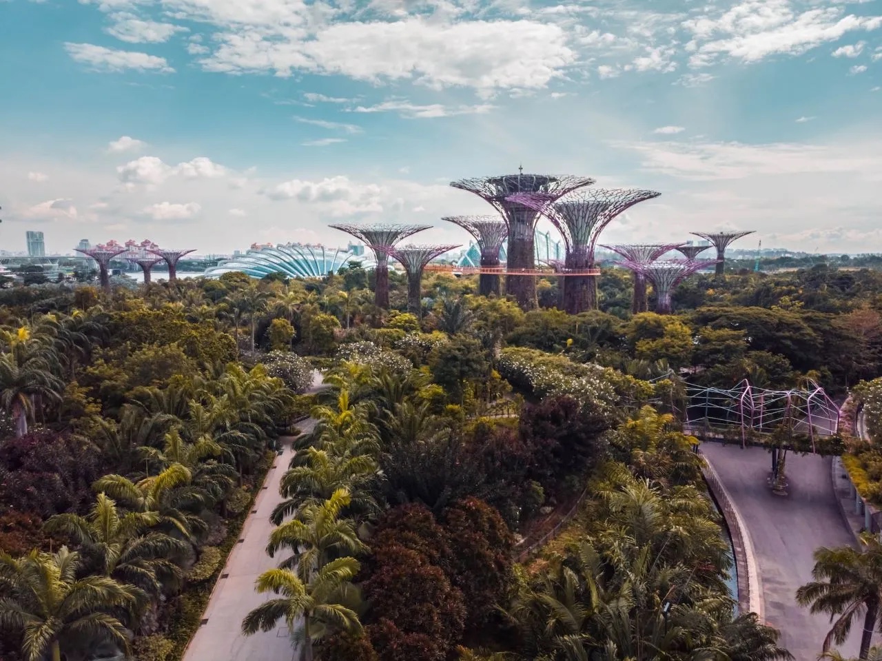 exuberantes jardines en singapur