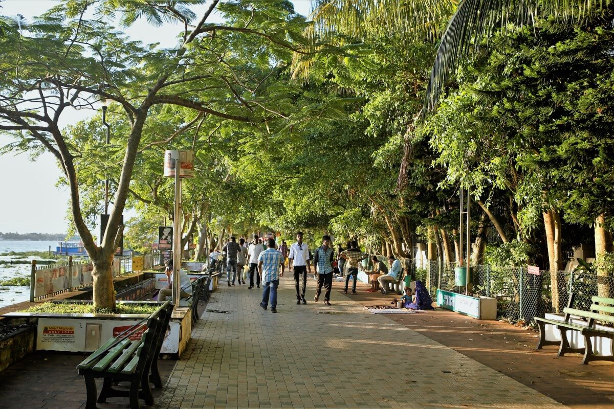 Una fotografía de Marine Drive en Kochi; la gente camina bajo la cubierta de árboles.