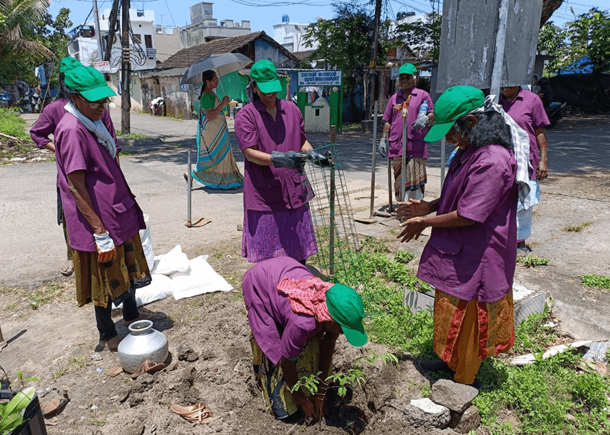 Mujeres con camisas moradas y sombreros verdes plantan árboles.