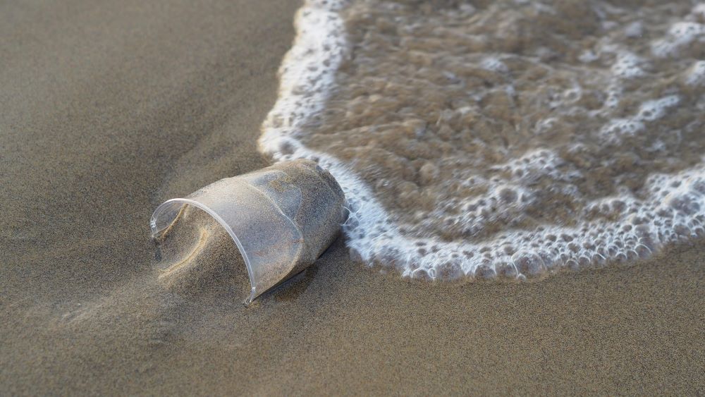 Un vaso de plástico de un solo uso acabó en una playa.