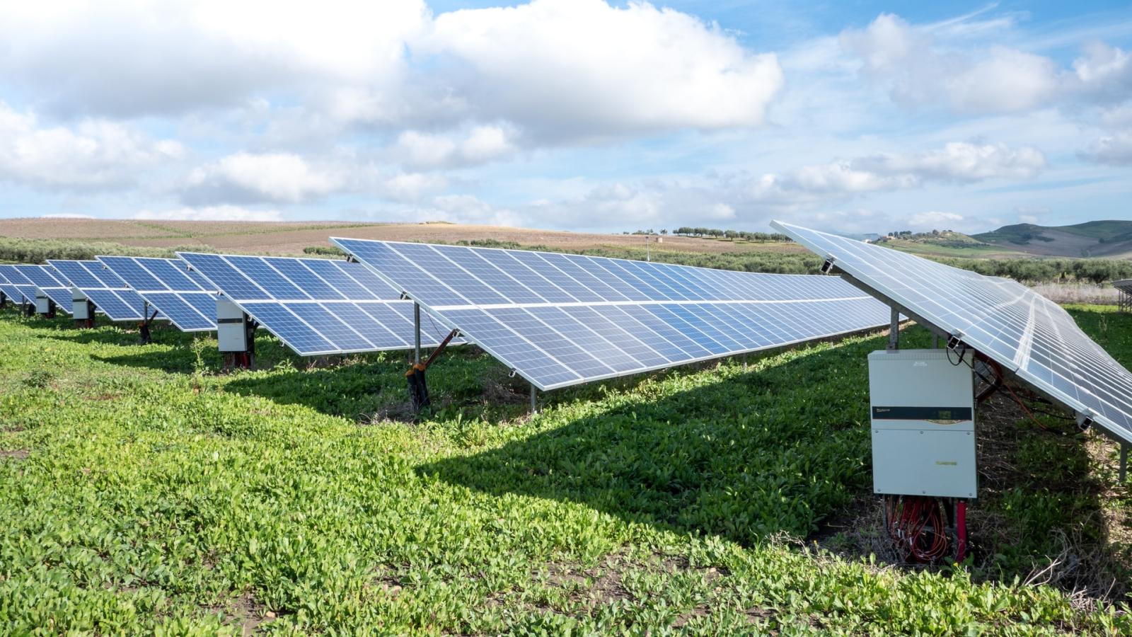 Campo de paneles solares