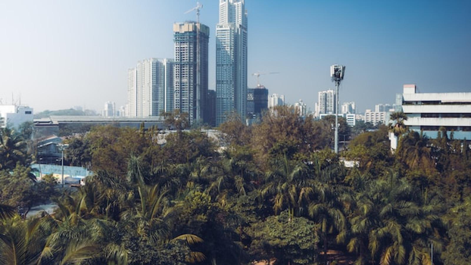 una vista del horizonte de una ciudad con vegetación en primer plano