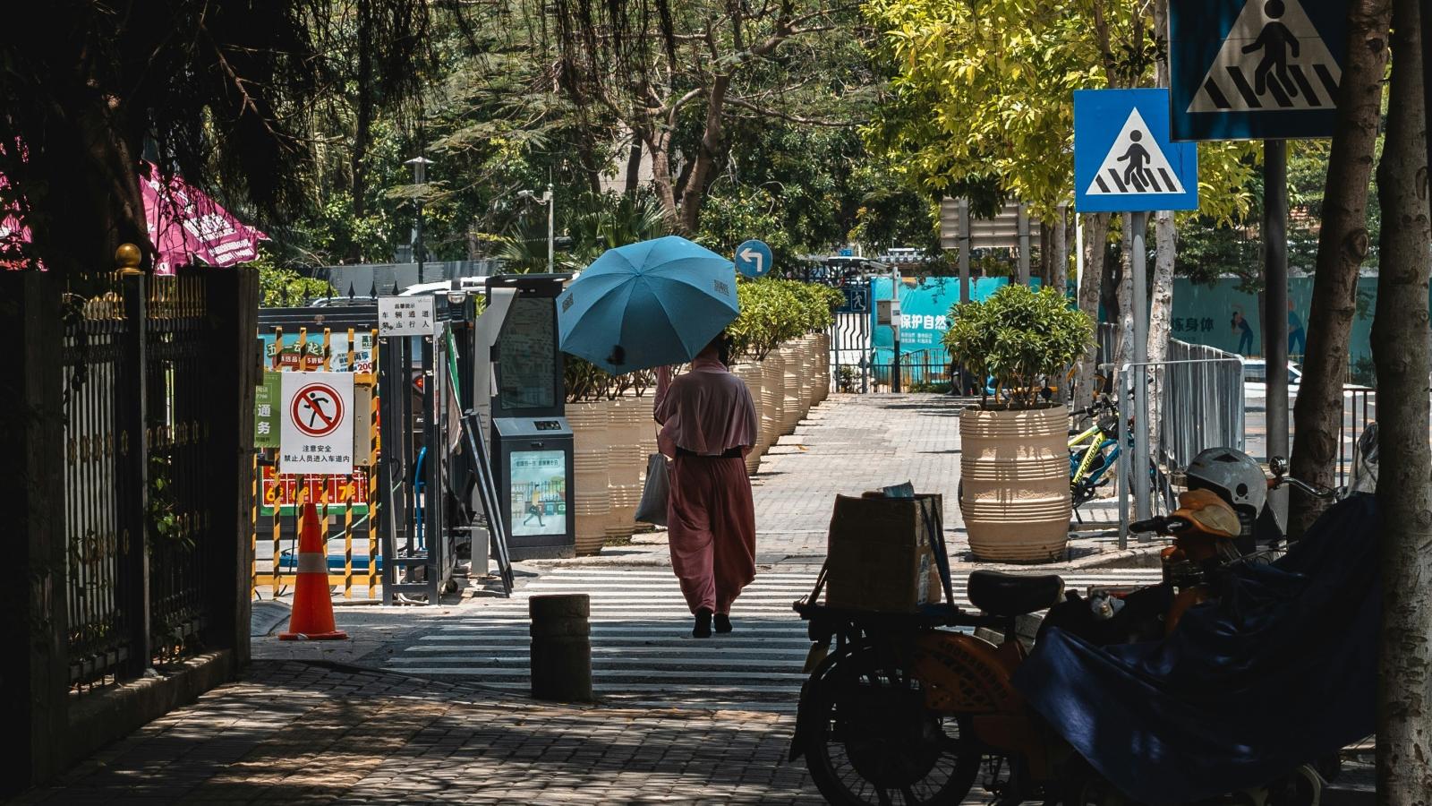 una mujer paseando con una sombrilla por una zona arbolada