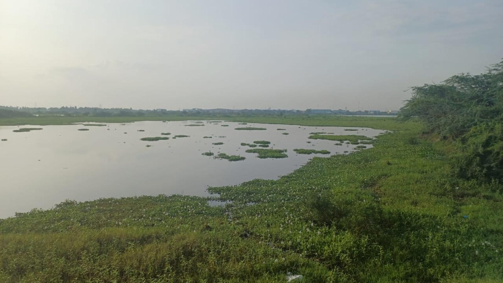 Lago de Chennai
