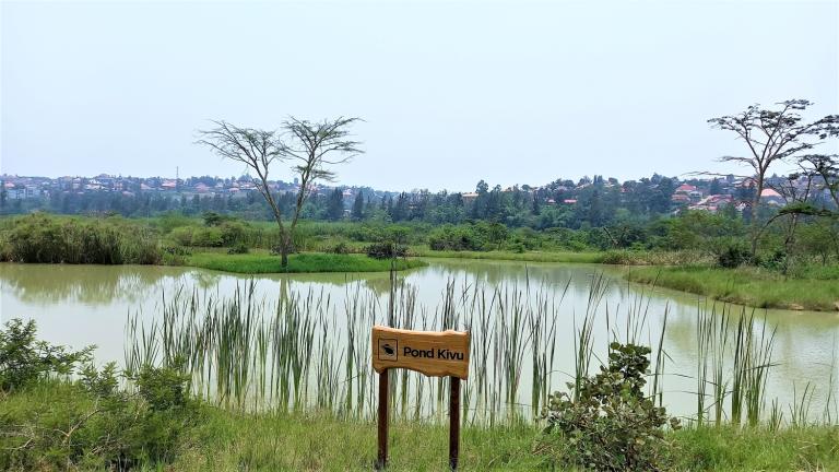 Kigali Nyandungu wetland rwanda