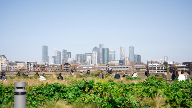 Paisaje urbano desde un jardín en la azotea