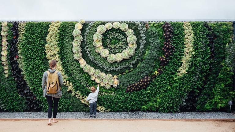 un muro verde plantado en espiral