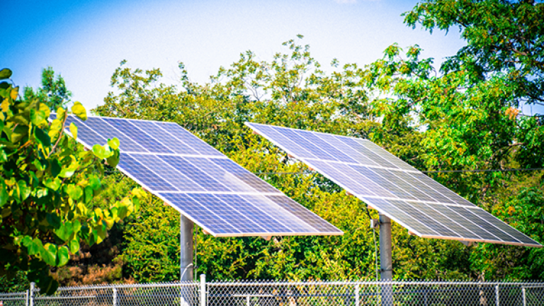 paneles solares frente a árboles verdes