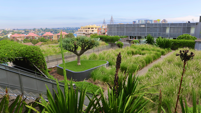 una zona verde en una ciudad con un horizonte de fondo