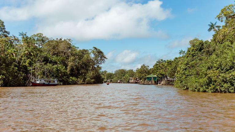 Aproximación a la isla Combu