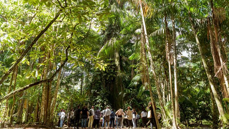 los participantes en el foro urbanshift visitan la isla combu, en la región amazónica