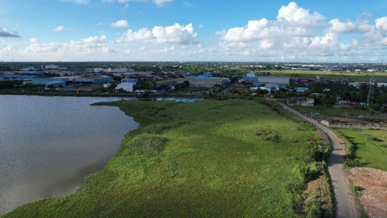 un lago en chennai, india