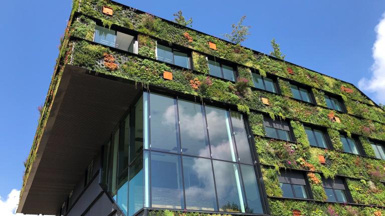 Naturaleza en la fachada de un edificio