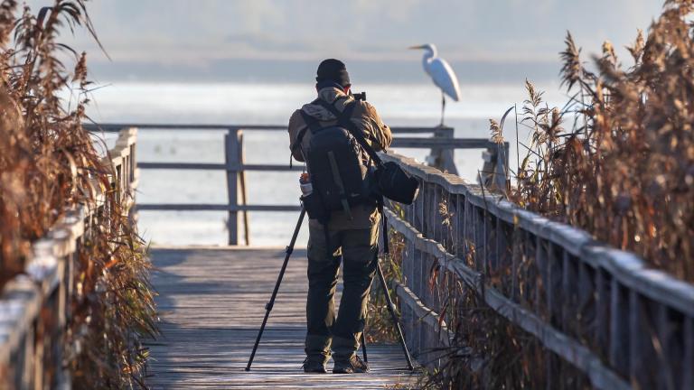Un hombre fotografía un pájaro frente a un lago