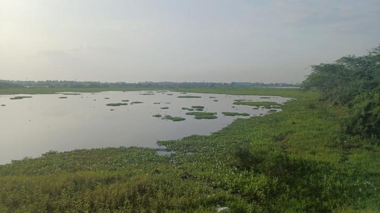 Lago de Chennai