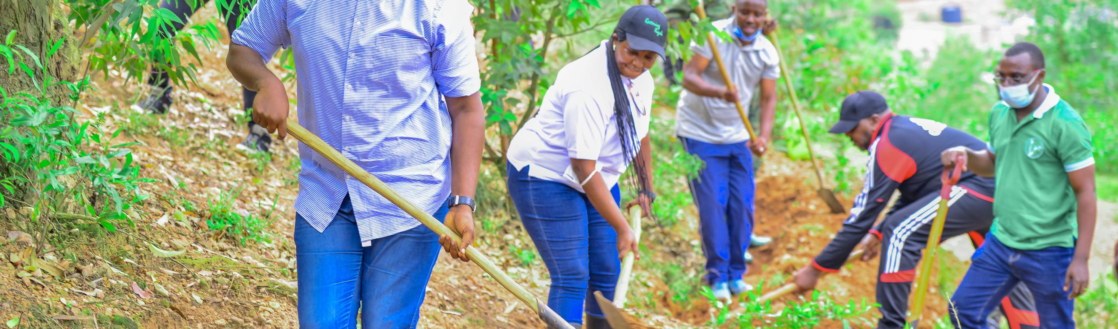El alcalde de la ciudad de Kigali, Pudence Rubingisa, participa en una plantación comunitaria de árboles. Ciudad de Kigali / Flickr. 