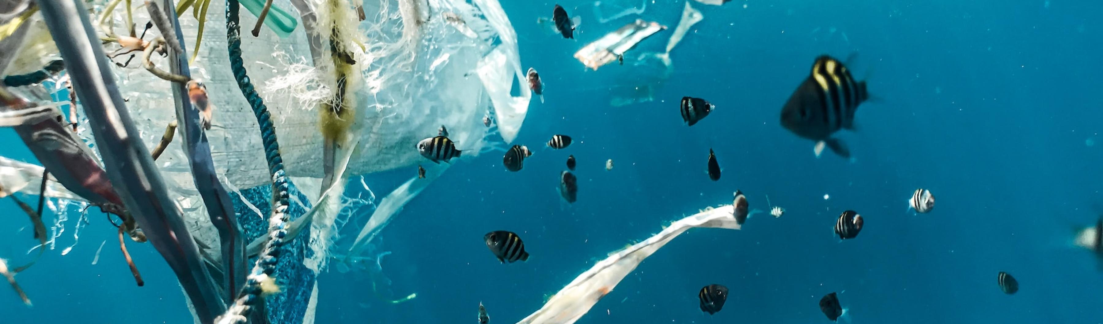 Peces en el océano con contaminación por plásticos