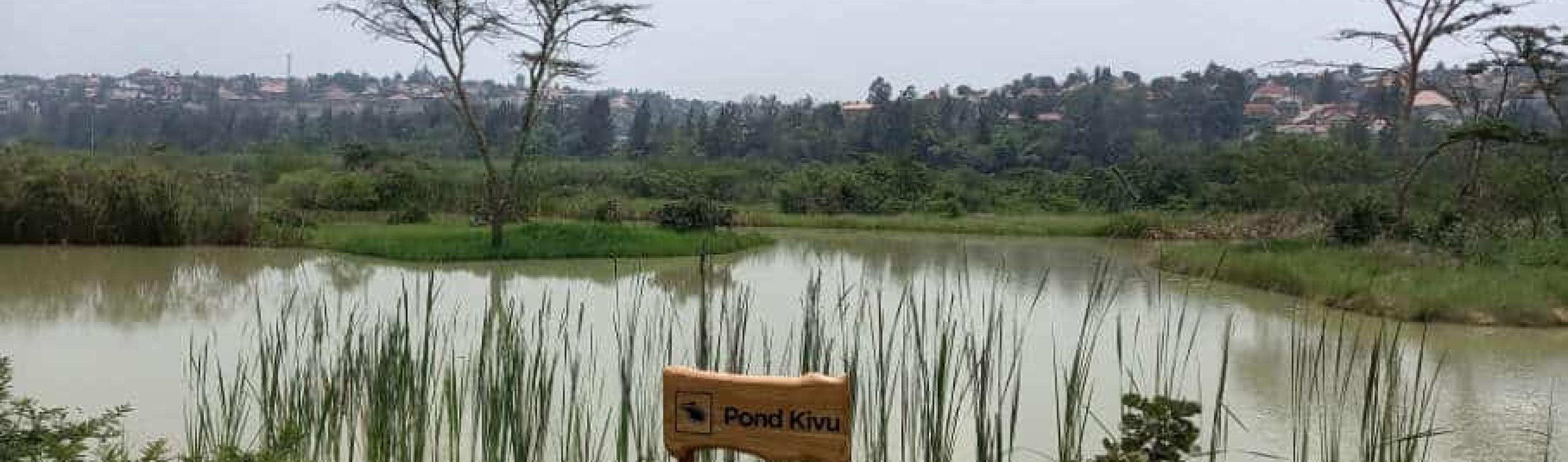 Un estanque en el humedal restaurado de Nyandungu en Kigali