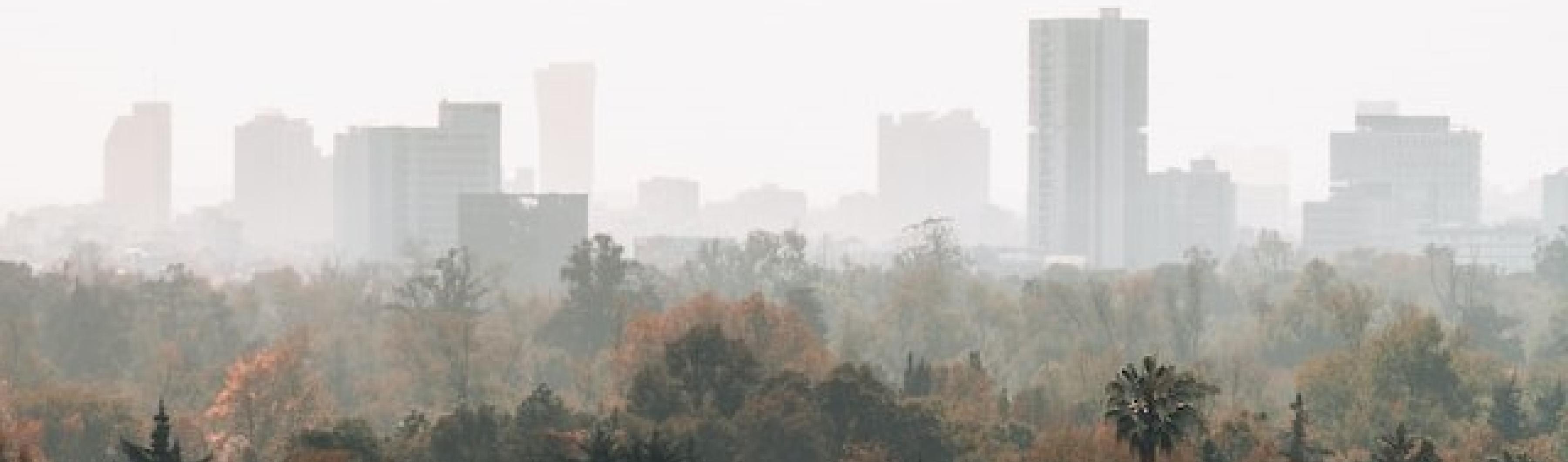 una vista de la ciudad de méxico llena de niebla tóxica