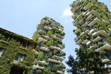 edificios ecológicos