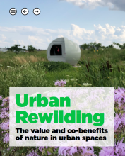 Portada del informe Urban Rewilding: The value and co-benefits of nature in urban spaces. El fondo muestra un campo con hierba verde y flores moradas, y una estructura esférica.