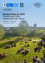 BiodiverCities para 2030