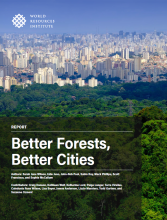 Portada del informe - Mejores bosques, mejores ciudades