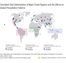 Infografía de la deforestación total simulada