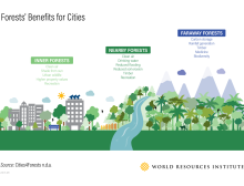Infografía sobre los beneficios de los bosques para las ciudades