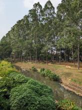ecoparque de tebet